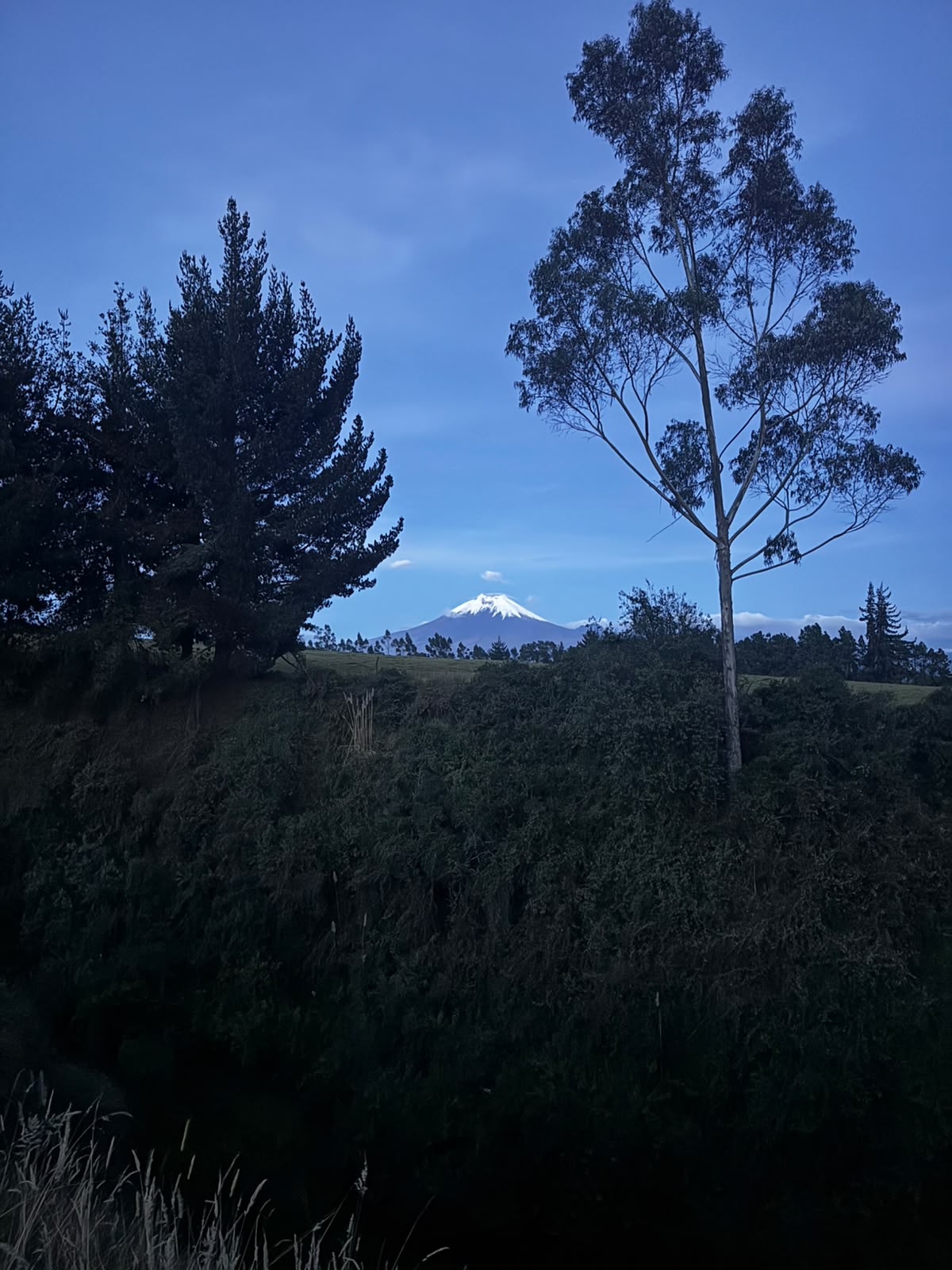 Cabañas y Montaña